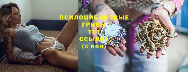 ГАЛЛЮЦИНОГЕННЫЕ ГРИБЫ Балахна